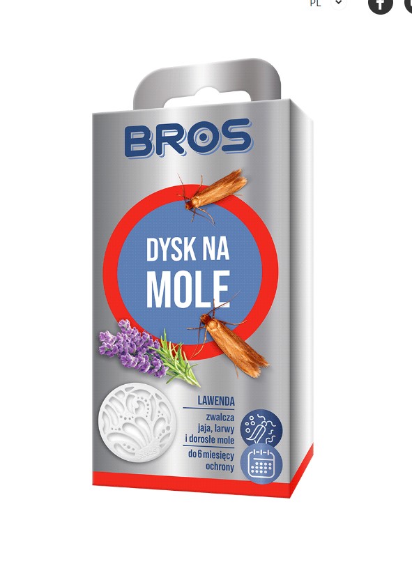 Dysk na mole